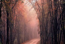 九州体育官网:阿聯酋媒體:本托不會因亞洲杯提早出局而被解雇!.