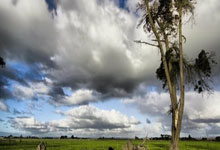 九州体育:43岁成为世界第一 是一种什么样的体验?.