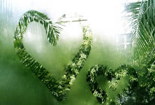 九州体育官网:2024歐洲杯獎杯巡回活動:斯圖加特啟動!.