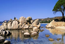 21/22賽季歐冠小組賽第6輪波爾圖1-3馬德裏競技 格列茲曼傳射建功蘇亞雷斯傷退.